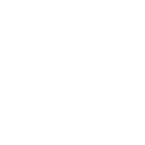 Mednjoy logo dark