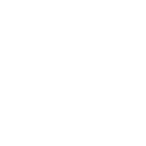 Lizay Jewellery logo dark